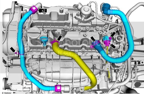 Radium Auto Oil Catch Can Kit Ford Fiesta ST 2014+ (PCV side / Fluid L –  whoosh motorsports