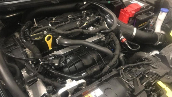 Peron 4-Port Aux Fuel Kit 2014-2019 Ford Fiesta ST